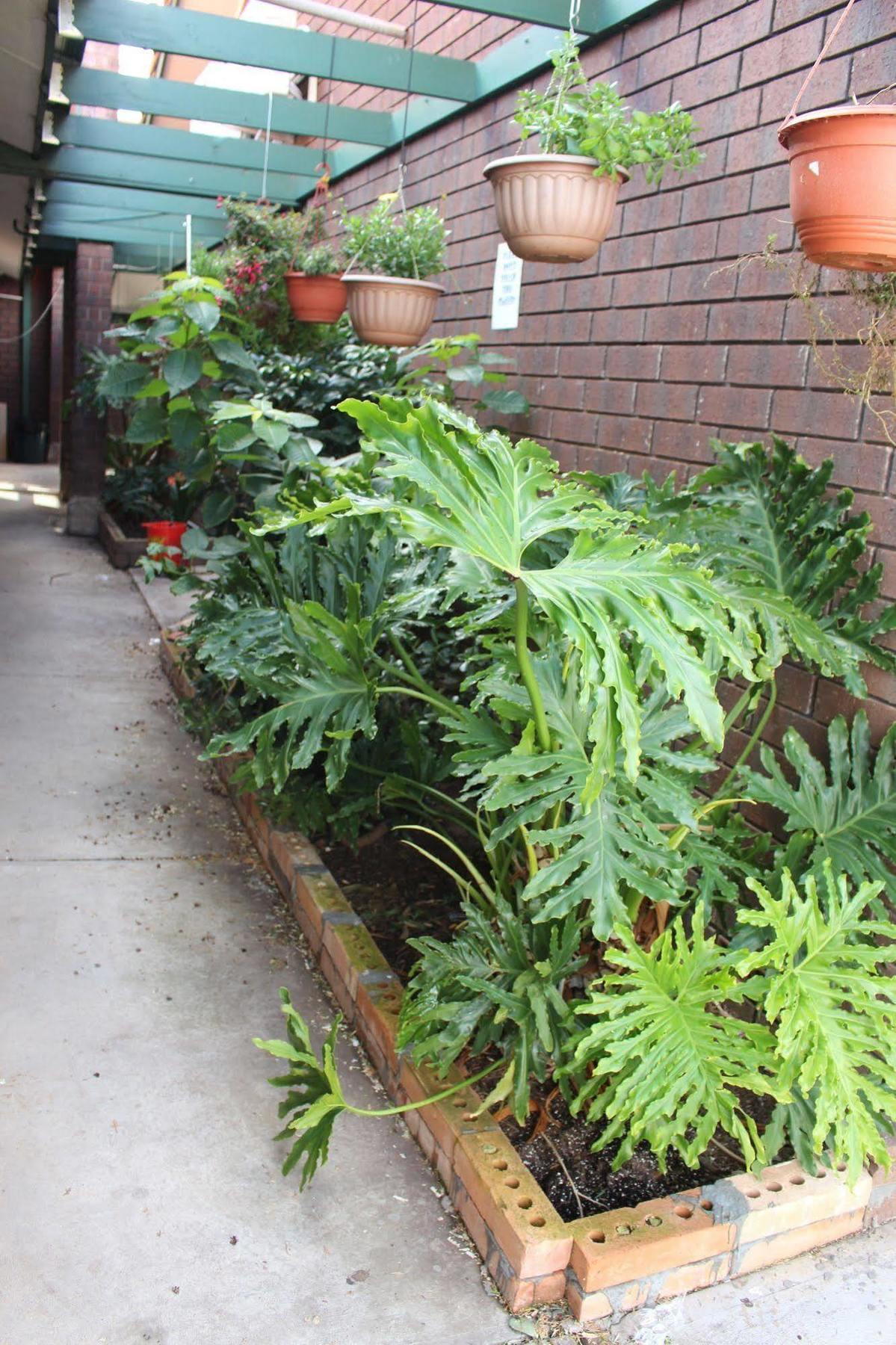 帕夫洛斯汽车旅馆 Ingle Farm 外观 照片